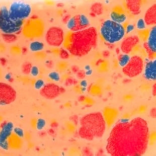 Confetti Divided Plates