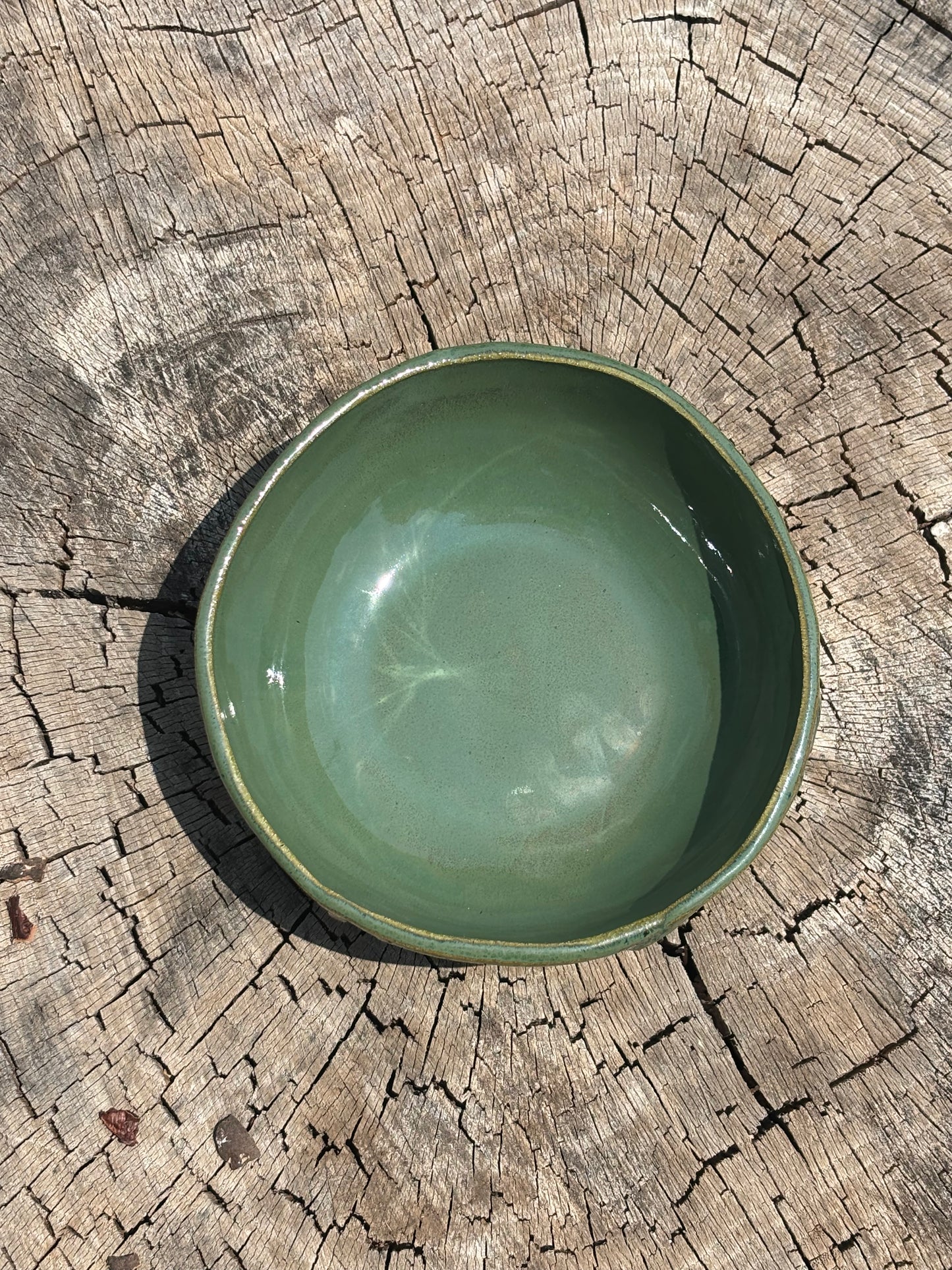 Flora Bowl - Aquarena