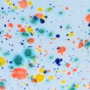 Confetti Divided Plates