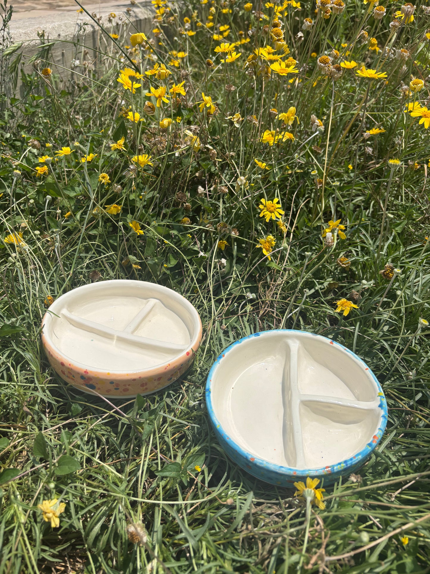 Confetti Divided Plates